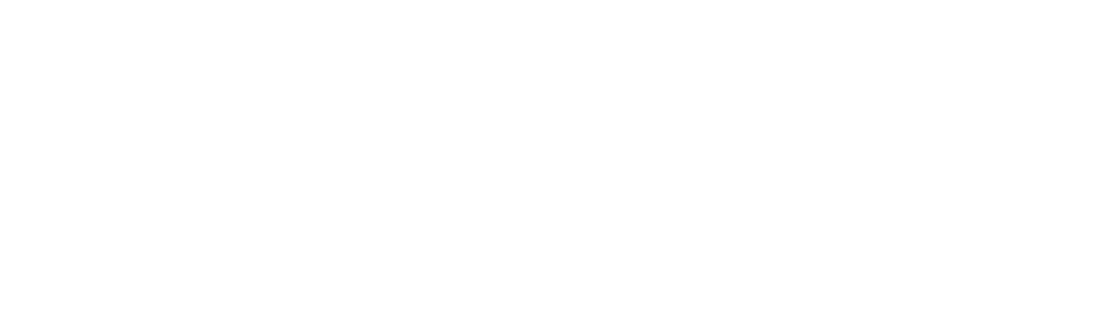 Partner Logo 1