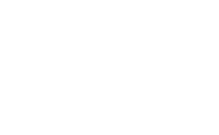 Partner Logo 2