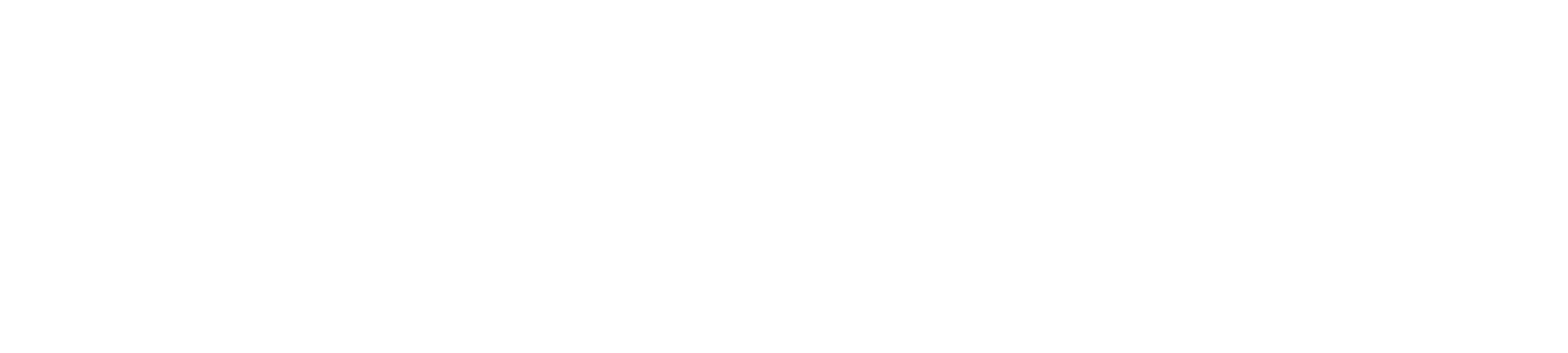 Partner Logo 4
