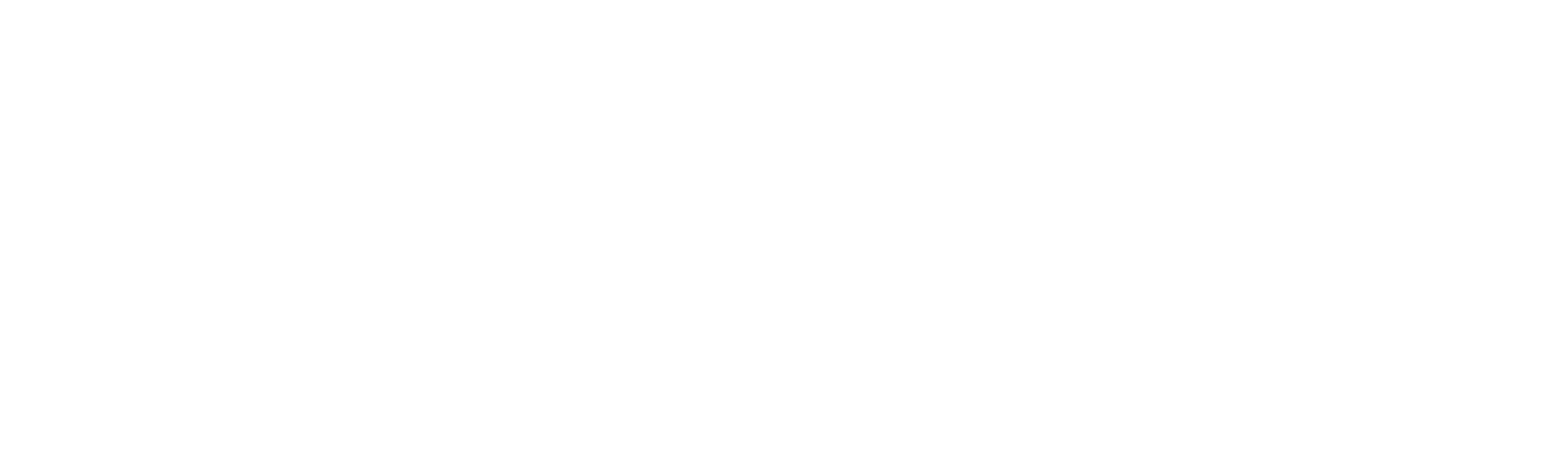 Partner Logo 7