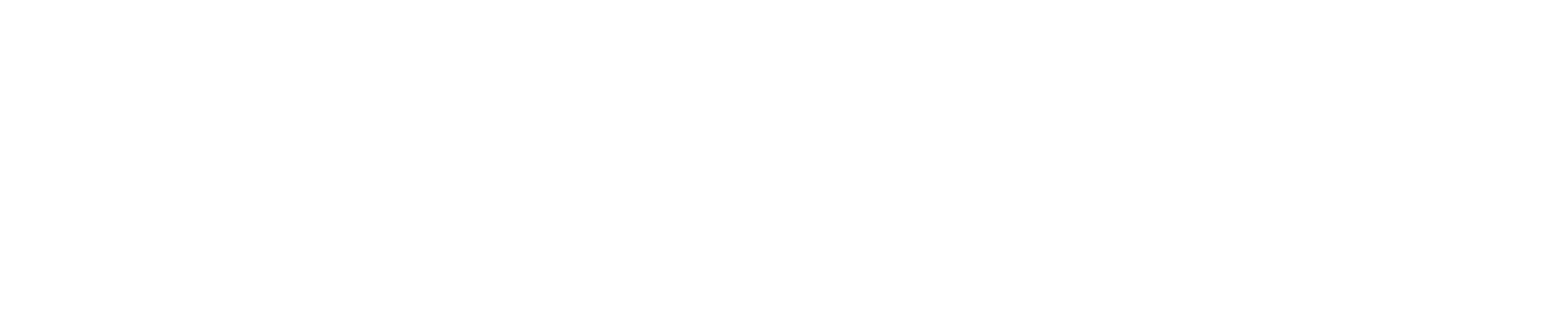 Partner Logo 6